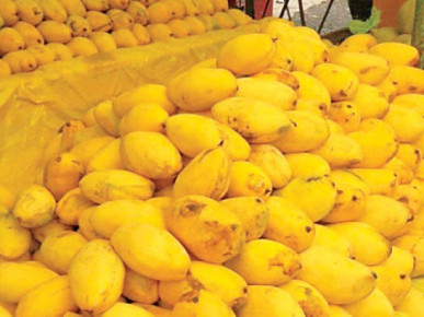 Best Pakistani Mangoes Online