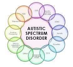 How Autism Tests Help Identify Developmental Differences austism test