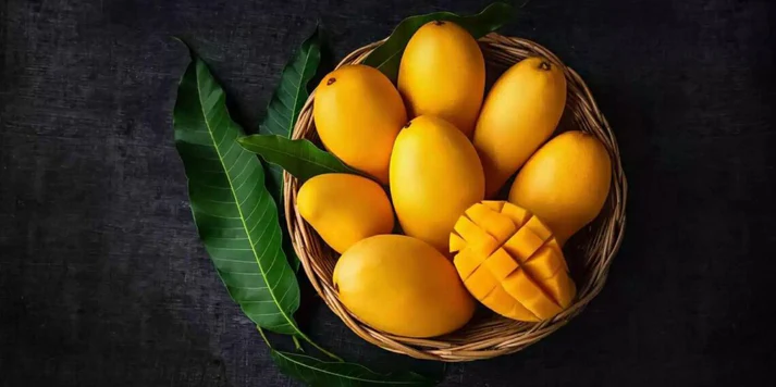 Buy Export Quality Chaunsa Mango