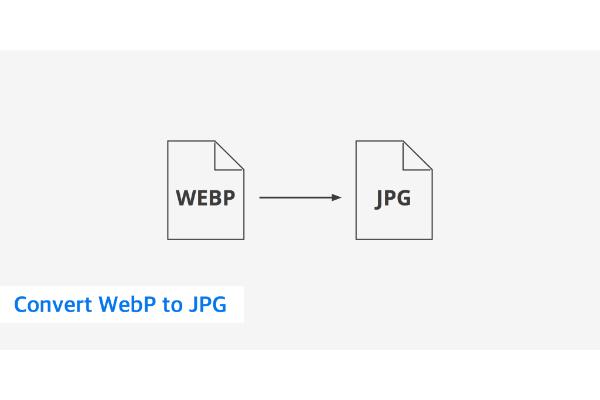 how to convert webp to jpg (1)