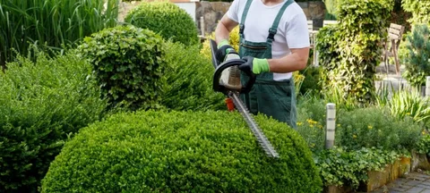 Upgrade Your Property Today with a Skilled Professional Landscaper image