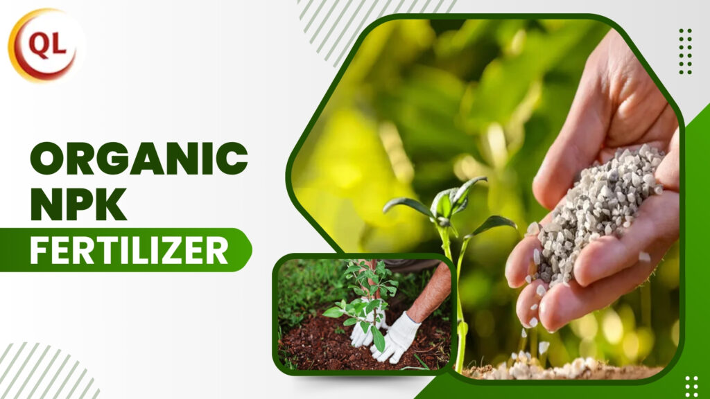 organic npk fertilizer