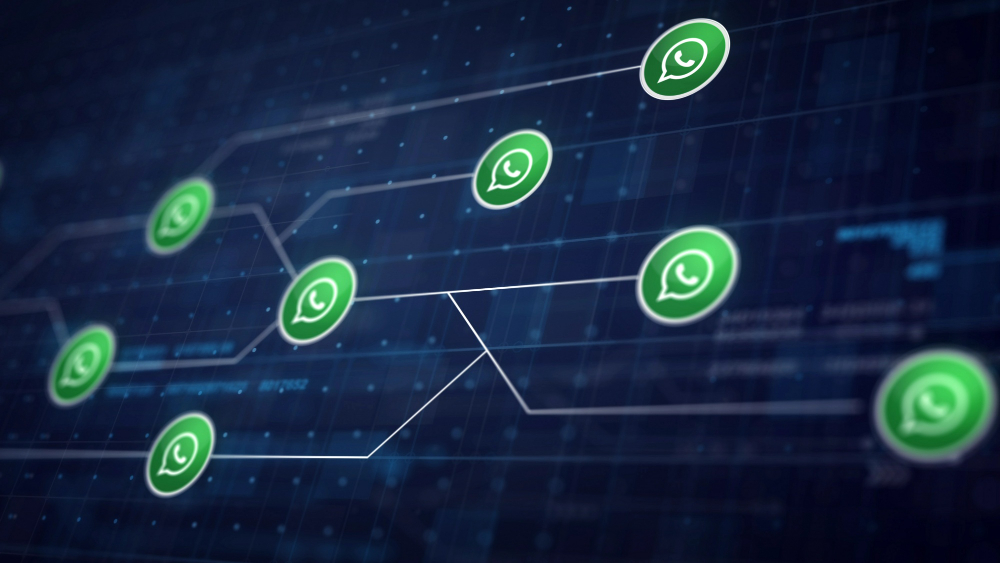 WhatsApp Chat Support