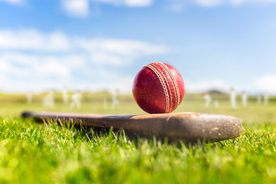 Online Gaming ID: Why Amiribookofficial Is the Smart Choice for Players cricket