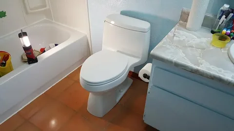 Get Professional Toilet Installation Services Near You at Affordable Rates image