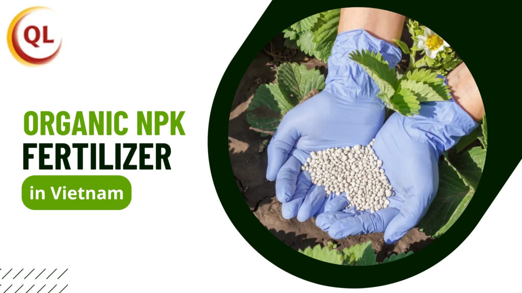 organic npk fertilizer in vietnam