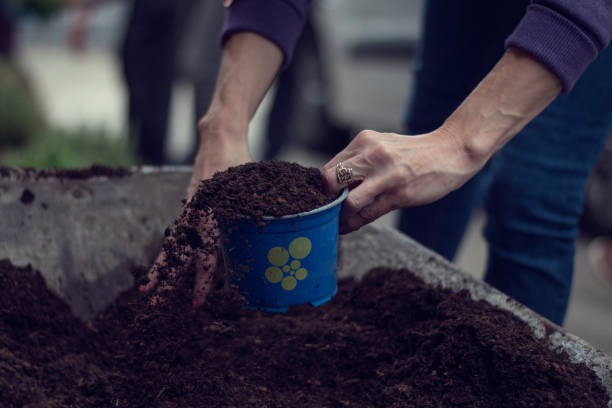 Subpod Compost: A Simple Way to Turn Food Scraps Into Healthy Soil image